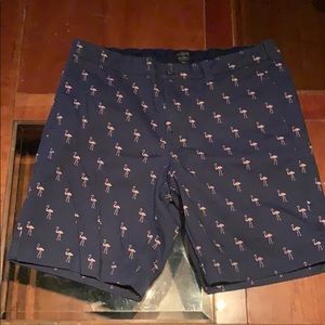 Flamingo printed khaki shorts